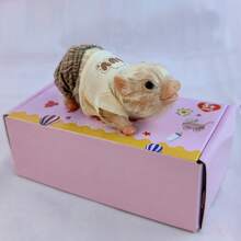 1pc Realistic Washable Reborn Piggy Dolls 12cm Soft Silicone Delicate Little Pig Doll Dress Up Game Toys Accompany Gifts