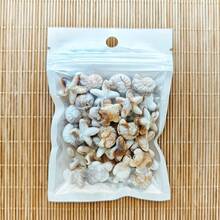 32/62pcs Bohemian Style Mixed Sea Turtle, Starfish And Seashell Shaped, Non-Fading Acrylic Double-Sided Beads, Suitable For Vacation And Daily Wear, Great Gift For Friends, Holidays, Jewelry Making