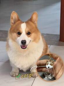 1 pièce/5 pièces Boîte de rangement et de stockage pour poils de chat et de chien de compagnie très attrayante et transparente, pendentif commémoratif, porte-clés, cadeau commémoratif, chat orange, chat Sanhua, Teddy, Bomei, Chaigou, Bixiong, Samoye, Golden Hair, Corgi, West Highland, stockage de poils de chien tacheté - Transparent - Voir 5