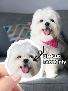 1~100pcs Custom Photo Pet Sticker Customized Name Stickers Personalized Your Pet Photo Dog Cat Name Sticker Die Cut Customizable Waterproof Vinyl Sticker For Laptop Water Bottle Phone Case Merchandise Decor Decal Stuff Gift Idea For Her Him Adults,Multi-Functional, ,Ornamental,Reusable,Exquisite,Stylish,High-Quality,Colorful,Modern,Custom,Personalized,Unique,Ideal Gifts For Him,Ideal Gifts For Her,Boyfriend,Dad,Girlfriend,Mom,Family,Friends,Tea Room,Home,Garden,Office,For Anniversaries,For Valentine's Day,For Mother's Day,For Birthdays,For Father's Day,For Graduation,For Weddings,For Housewarming,Warm Ambience, Autumn Home Refresh, Xmas Decoration,Home Harmony,Office Decor - White - View 8