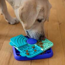 Outward Hound By Nina Ottosson Lickin' Layers 3-In-1 Dog Puzzle Feeder, Lick  Slow Bowl – Puppy Enrichment  Dogs, Dishwasher - 舔舔翻吃(紫色) - 查看 8