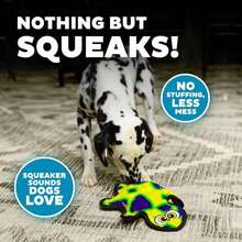 Outward Hound Durablez Stuffing-Free Squeaky Interactive Dog Toy, Tough Plush, Gecko, Green, Large - 顏色B - 查看 4