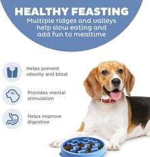 Outward Hound Fun Feeder Slo Bowl, Tazón lento para perros mediano, 2 tazas, azul