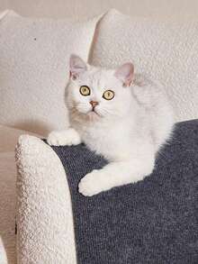 1/2pcs Self-Adhesive Cat Scratching Board, Climbing Cat Scratch Pad With Sofa Protection Function (Prevent Cat Scratching), Suitable For Sofa, Wall And Furniture, Room Decor, Christmas Gift