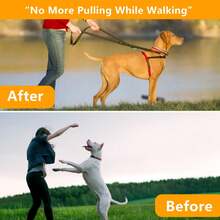 طوق الكلاب ذو الأسنان، طوق كلب قابل للتعديل بدون سحب مع إبزيم تحرير سريع، طوق قرص للكلب قابل للتعديل بدون سحب لتدريب الكلاب، مناسب للكلاب الصغيرة والمتوسطة والكبيرة للمشي والتدريب والصيد، وسهل الاستخدام - سلسلة معدنية من الفولاذ المقاوم للصدأ آمنة