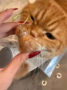 1 pièce/5 pièces Boîte de rangement et de stockage pour poils de chat et de chien de compagnie très attrayante et transparente, pendentif commémoratif, porte-clés, cadeau commémoratif, chat orange, chat Sanhua, Teddy, Bomei, Chaigou, Bixiong, Samoye, Golden Hair, Corgi, West Highland, stockage de poils de chien tacheté - Transparent - Voir 20