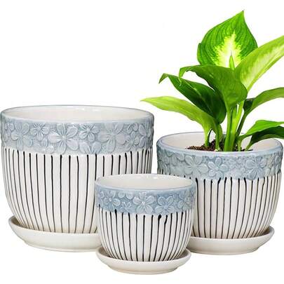 Ceramic Plant Pots …