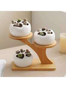 1pc Minimalist High-End Home Desktop Organizer Rack, Thick Desktop Shelf, Balcony Succulent Holder, Creative Branch Design, Multi-Layer Small Flower Stand, Decor For Potted Plants, Suitable For Windowsill, Living Room, Office