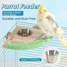 New Parrot Feeder Stand With Food Bowl, Bird Cage Accessories, Stainless Steel Feeder, Claw Grinding Stand