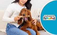 Boutique Pet Toys Outward Hound Dogwood Wood Durable Dog Chew Toys, Real Wood & Calming Hemp, 2-Pack, Medium - 山茱萸與鎮靜(2 件裝) - 查看 2