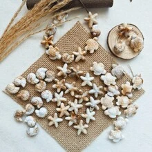 32/62pcs Bohemian Style Mixed Sea Turtle, Starfish And Seashell Shaped, Non-Fading Acrylic Double-Sided Beads, Suitable For Vacation And Daily Wear, Great Gift For Friends, Holidays, Jewelry Making