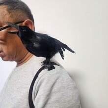 Halloween Black Crow Statue Realistic Feather Crow Shoulder Prop Halloween Party Decoration, Crow Costume Accessories - Black - View 1