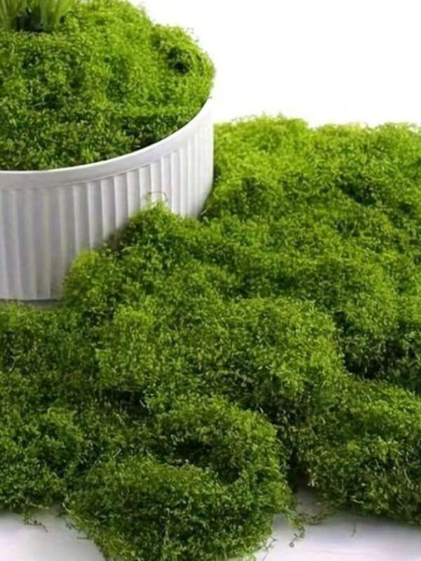 1pc 100g Artificial Moss, Suitable For Home Decor In Various Scenes, Fake Moss & Lichen Micro Landscape Arrangement, Lawn, Potted Plants