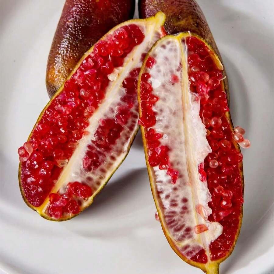 210 piezas de semillas de cítricos mixtas nuevas, semillas de cítricos frescas peladas en verde, rojo y rosa - Fruta deliciosa y nutritiva - Cosecha - 210 - Ver 1