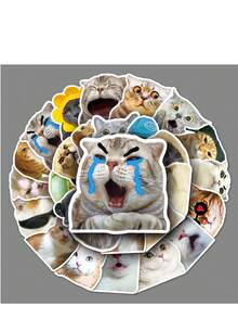 20 张猫贴纸，适用于 DIY 装饰、笔记本、手机、行李箱、手提电脑、冰箱、自行车、可爱涂鸦和儿童玩具礼物。 - 彩色 - 查看 1