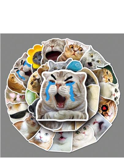 20 张猫贴纸，适用于 DIY 装饰、笔记本、手机、行李箱、手提电脑、冰箱、自行车、可爱涂鸦和儿童玩具礼物。