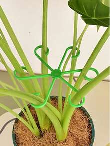 Plant Support Clips: Sturdy Stem Clamps For Climbing Plants - Plastic Material - Multicolor - View 2