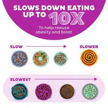 Fun Feeder Slo Bowl, Medium Slow Feeder Dog Bowl, 2 Cups, Purple - Tím+1+Trung bình - Xem 4