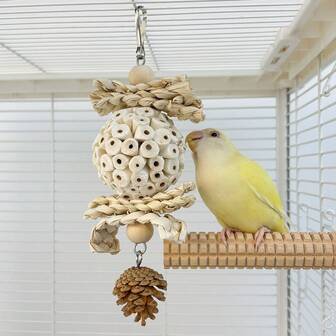 1 件鹦鹉玩具咀嚼磨牙缓解无聊互动娱乐藤球玉米壳松果鸟笼装饰配件，适用于虎皮鹦鹉、玄凤鹦鹉、长尾小鹦鹉、凤头鹦鹉