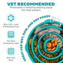 Outward Hound Large 4-Cup Turquoise Plastic Slow Feeder Dog Bowl, Lightweight & Portable - Blue - View 3