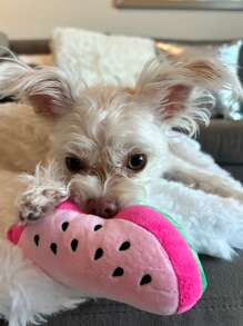 1pc Watermelon Shaped Sound Making Toy For Pet Playtime - Multicolor - View 4