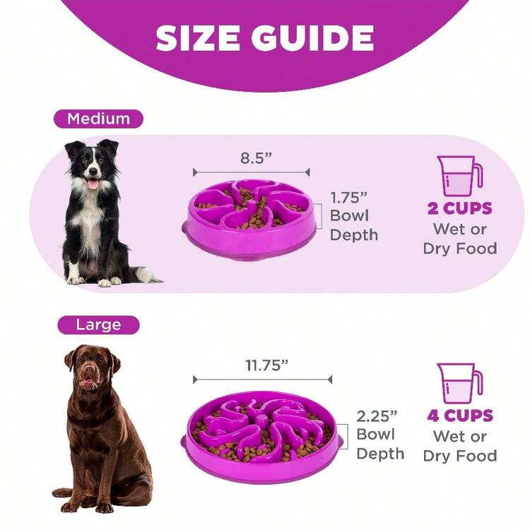 Fun Feeder Slo Bowl, Medium Slow Feeder Dog Bowl, 2 Cups, Purple - 紫色+1+中號 - 查看 5