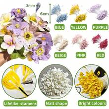 Pipe Cleaners For FlowersNafuXiaJJia 600 Pcs 6-Coloured Flower Stamens For Crafting,200 Pcs Pearls And 1 Roll Fluffy Yarn For Pipe Cleaners Crafting,Bouquet Accessories,Pipe Cleaner Flower Kit - 1 - 查看 3