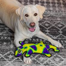 Outward Hound Durablez Large Gecko Stuffing-Free Squeaky Plush Dog Toy For Puppies & Dogs - Interactive, Soft Yet Tough, No Mess, Jumbo Squeaker, Long-Lasting Play, 17.5 Inch, Multicolor - Thằn lằn xanh - Xem 3