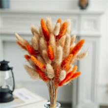 30/60/90 pièces Fleurs séchées de queues de lapin, fleurs séchées de Lagurus ovatus orange, herbe de pampa, arrangement floral séché pour la décoration de style bohème d'automne, mariage d'automne, décoration de ferme de Noël, décoration extérieure, décoration d'automne