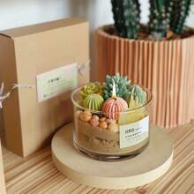 9/10 Stücke 3D Blumen & Kaktus Silikon Kerzengießformen Set für duftende Kerzen, Seife, Harz und mehr