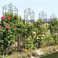 2 Panels 72in Tall Outdoor Garden Metal Trellis Climbing Plant Support Frame - 1 - View 2