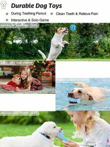 1 Set Pet Chew Toys, Dog Toy Set, Suitable For Small To Medium Dogs Teething Toys Set, Durable TPR & Squeaky Chew Toys Series, Interactive Toys, Dog Health Training Toy Kit - Multicolor - View 4