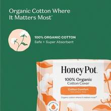 The Honey Pot Company - Sanitary Pads For Women - Non-Herbal Overnight W_Wings - Organic Cotton Cover, &Amp; Ultra-Absorbent Pulp Core - Feminine Care - FSA &Amp; HSA Eligible - 12 Ct - 顏色C - 查看 3
