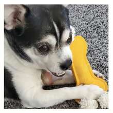 Dog Gnawing Rope Toy, Gnawing Teeth Pet Toy, Puzzle Interactive Felt Dog Chewing Toy, Assorted Color - Xám - Xem 7