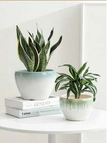Chậu hoa gốm có khay, phong cách hiện đại tối giản cho cây xanh - Nhiều màu - Xem 8