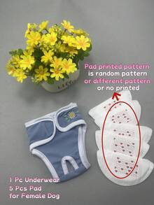 Dog Underwear For Famale Dog Physiological Period Pink Blue With 5 Pc Physiological Pad - Multicolor - View 2