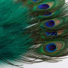 BABEYOND Roaring 20s Vintage Style Peacock & Black Marabou Feather Fan Flapper Accessories For Costume Halloween Dancing Party Tea Party Variety Show (Dark Green-White Rib) - 墨綠色 - 查看 4