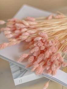 25/50/100pcs Gem Grass Dried Flowers, Assorted Colors, For Home Decor, Vase Decoration, DIY Bouquets, Cake Decoration - Baby Pink - View 1