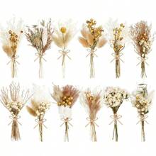 24 Pack Dried Flowers For Vase Various Mini Bouquet Dried Small Wildflowers Natural Real Flowers Bulk For Crafts DIY Wedding Decor 12 Plain Colour 1111 - 各系列 - 查看 1