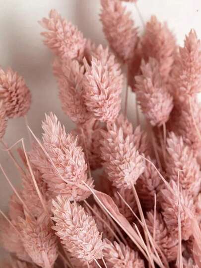 25/50/100 支宝石草干花，多种颜色可选，适用于家居装饰、花瓶装饰、DIY 花束、蛋糕装饰