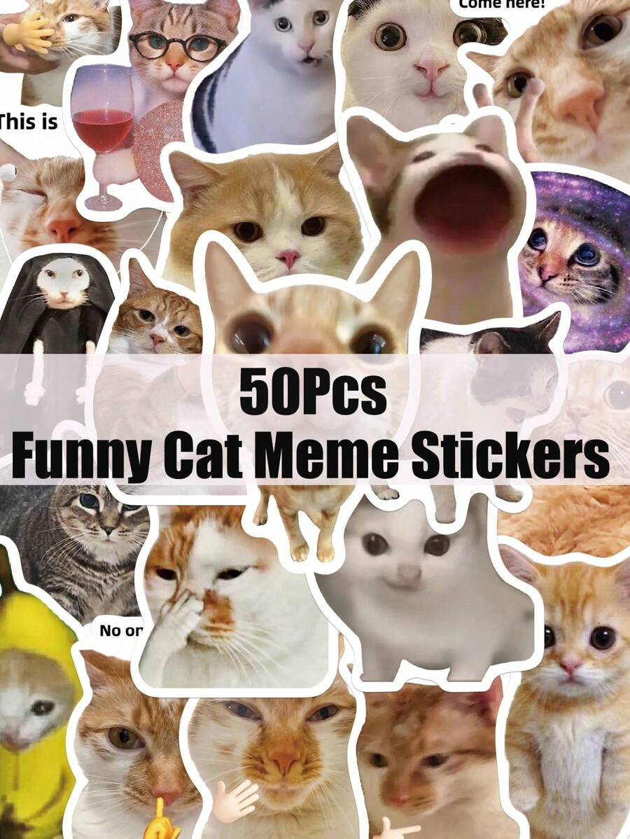 50 Stücke Lustige Katzen Meme Aufkleber, Cartoon Dekoration, Schulmaterial, Scrapbooking, Laptop, Gepäck, Gitarre, Wasserflasche, Handyhülle, DIY Aufkleber