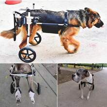 2025 NEW:Mirjan24 Hocker Niko groß Sitzhocker Polsterhocker Sitzbank Fußbank Pouf Farbauswahl (Uttario Veet 2955)Poso 05Poso 05