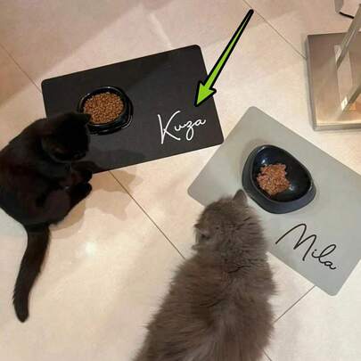 Custom Pet Feeding Mat | Personalized Dog & Cat Food Placemat With Name | Premium Diatomite, Non-Slip, Waterproof, Easy To Clean | Cute Pet Gift For Food Bowls, Gift For Dog, Gift For Cat, Gift For Pet Lovers Ornamental Stylish,Fashion,Colorful,Vintage,Cute,Contracted,Cuties Custom,Unique,Customized,Personalized Pet For Anniversaries,For Birthdays