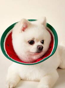 PETSIN Elizabeth Collar 猫用防咬颈项圈 防舔防抓防护锥形项圈 宠物美容用 适合小型猫咪