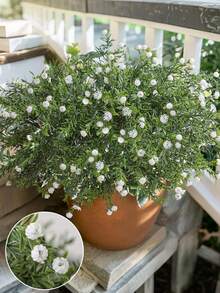 1 Bündel künstliche 7-Gabel Vollstern Griffkopf, Simulation 7-Gabel Kegel Stein Blume Griff Gras, Weiß, PE Material, künstliche Blumen, Simulation Pflanzen, für Outdoor-Veranstaltungen, Feiertage, Geburtstage, Hochzeiten, Partydekoration, Terrasse, Eingang, Esszimmer, Wohnzimmer, Schlafzimmer, Garten Dekoration, Heimdekoration - Grün - Übersicht 10