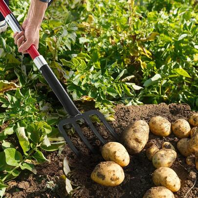 Garden Fork, 4-Tine Gardening Pitchfork With Fiberglass Handle, 45 In Heavy Duty Digging Fork With Y Grip, Forged Steel Spading Fork For Hay Potato Composting Transplanting Aeration