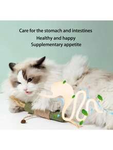 1pc Cat Cat Toy, Cat Stick, Indoor Cat Toy, Cat Chew Toy, Kitten & Cat Treats, Cat Dental Toy