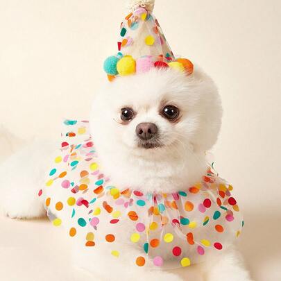 PETSIN Set de 2 piezas Pañuelo y gorro de cumpleaños para mascotas perros y gatos, accesorios de ropa para fiestas de cumpleaños de mascotas, accesorios de colores arcoíris, un gran regalo de cumpleaños para las mascotas