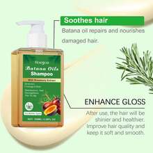 HOEGA Shampoo, Rosemary Shampoo, Nourishes And Revitalizes, Leaves Hair Soft And Full, Suitable For Men And Women, Reduces Hair Loss 100ml - 彩色 - 查看 6