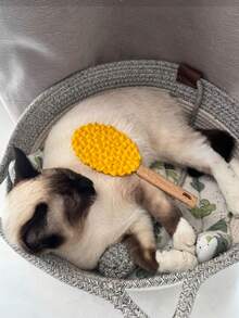 宠物榴莲按摩梳猫毛脱毛梳猫毛清洁刷梳多功能刮毛器毛刷 - 彩色 - 查看 10